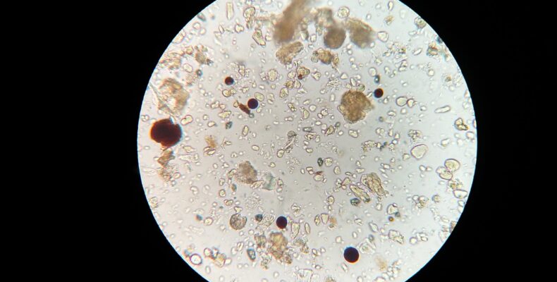 Microscope Soil